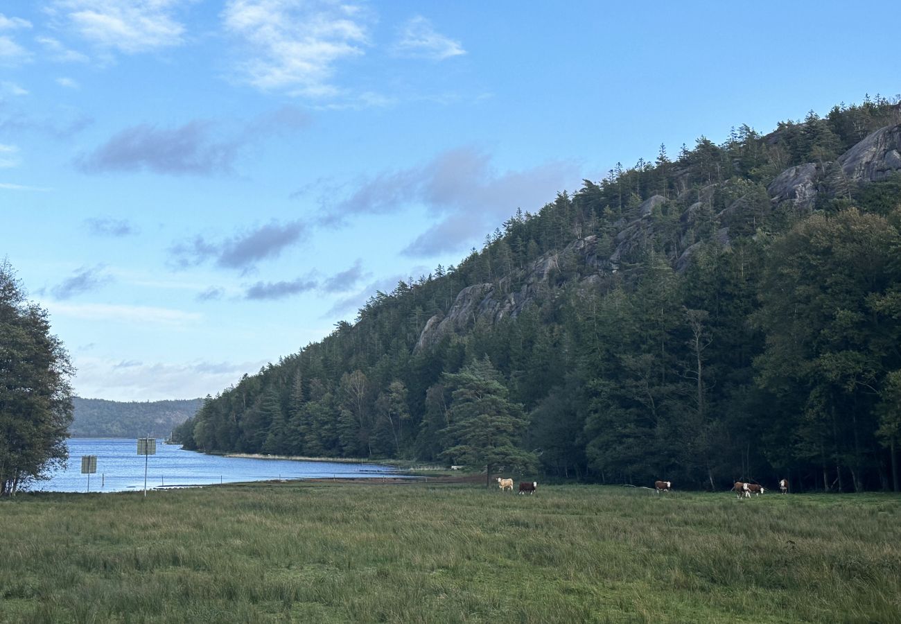 Ferienhaus in Henån - Staynordic | Sehr schöne Villa im Nordwesten von Orust | SE09043