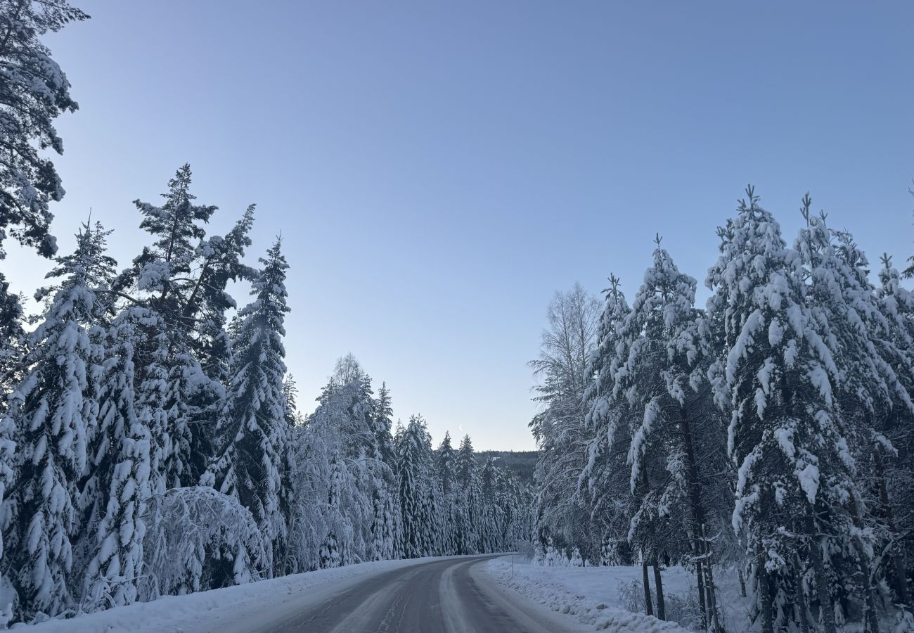 Ferienhaus in Bograngen - Gemütliche Wildnishütte in Värmland/Bograngen | SE18028