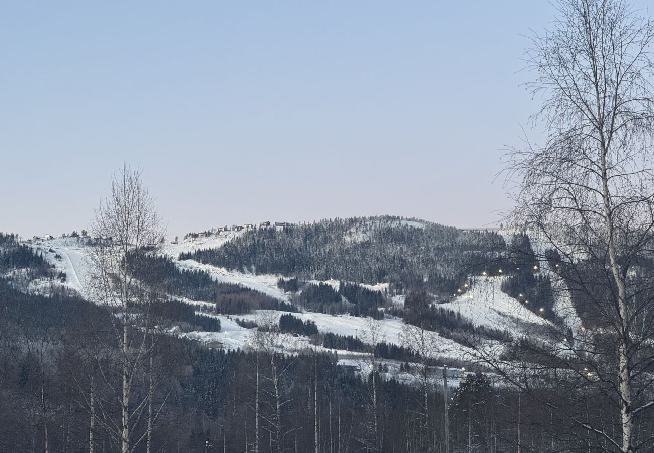 Ferienhaus in Bograngen - Gemütliche Wildnishütte in Värmland/Bograngen | SE18028