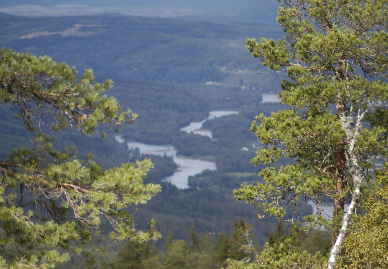 Ferienhaus in Bograngen - Gemütliche Wildnishütte in Värmland/Bograngen | SE18028