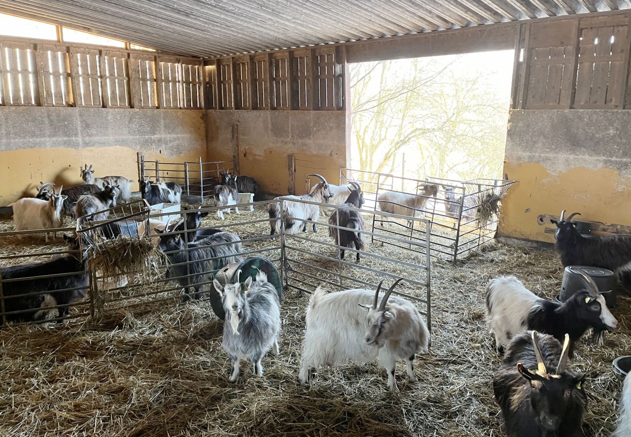 Ferienhaus in Jämjö - Schönes kleines rotes Häuschen auf dem Land außerhalb von Jämjö | SE05068