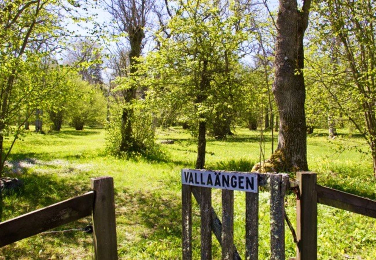 Ferienhaus in Lärbro - Schönes Ferienhaus in Lärbro, 150 m von einem der ruhigsten Strände Gotlands entfernt | SE12051