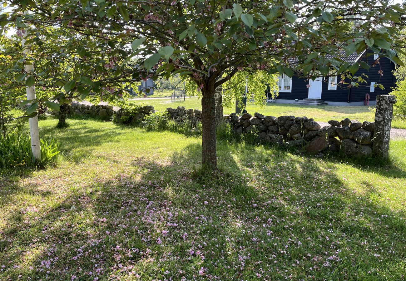 Ferienhaus in Löttorp - Große Holzvilla in malerischer Lage südlich von Löttorp | SE04050