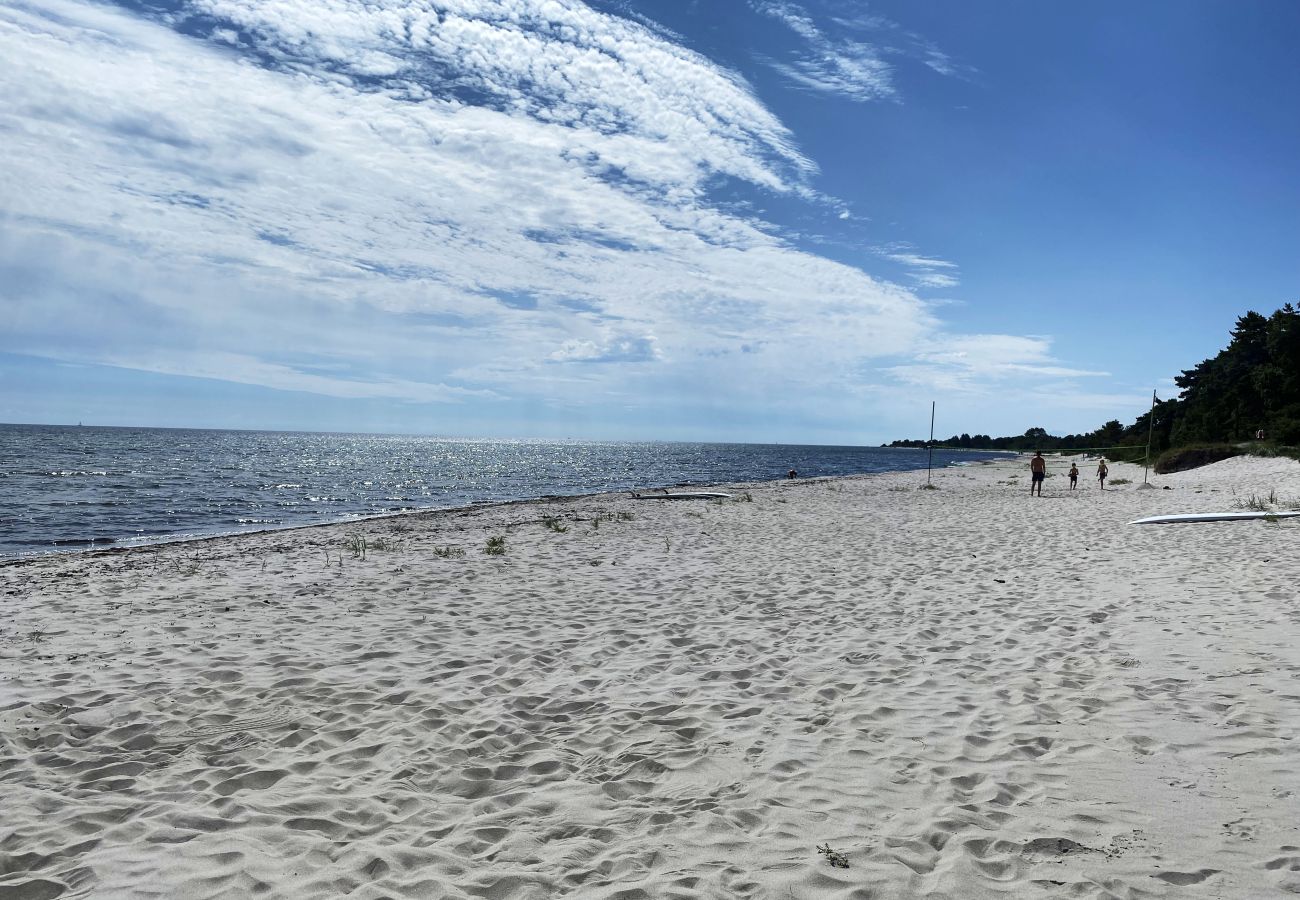 Ferienhaus in Beddingestrand - Ferienhaus am Strand mit Meerblick, Sauna und Privatsphäre in Beddingestrand | SE01061