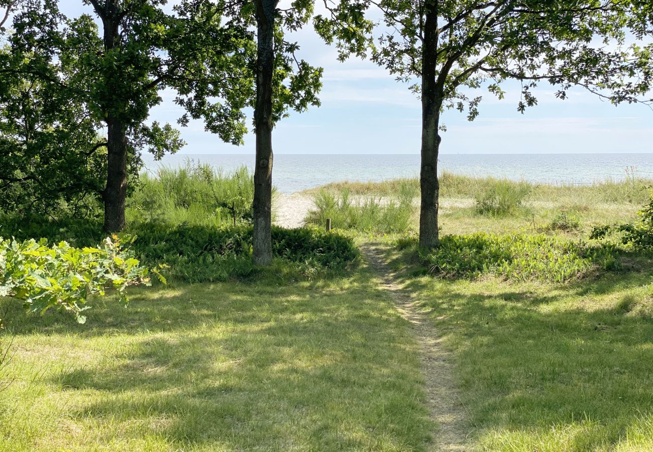 Ferienhaus in Beddingestrand - Ferienhaus am Strand mit Meerblick, Sauna und Privatsphäre in Beddingestrand | SE01061