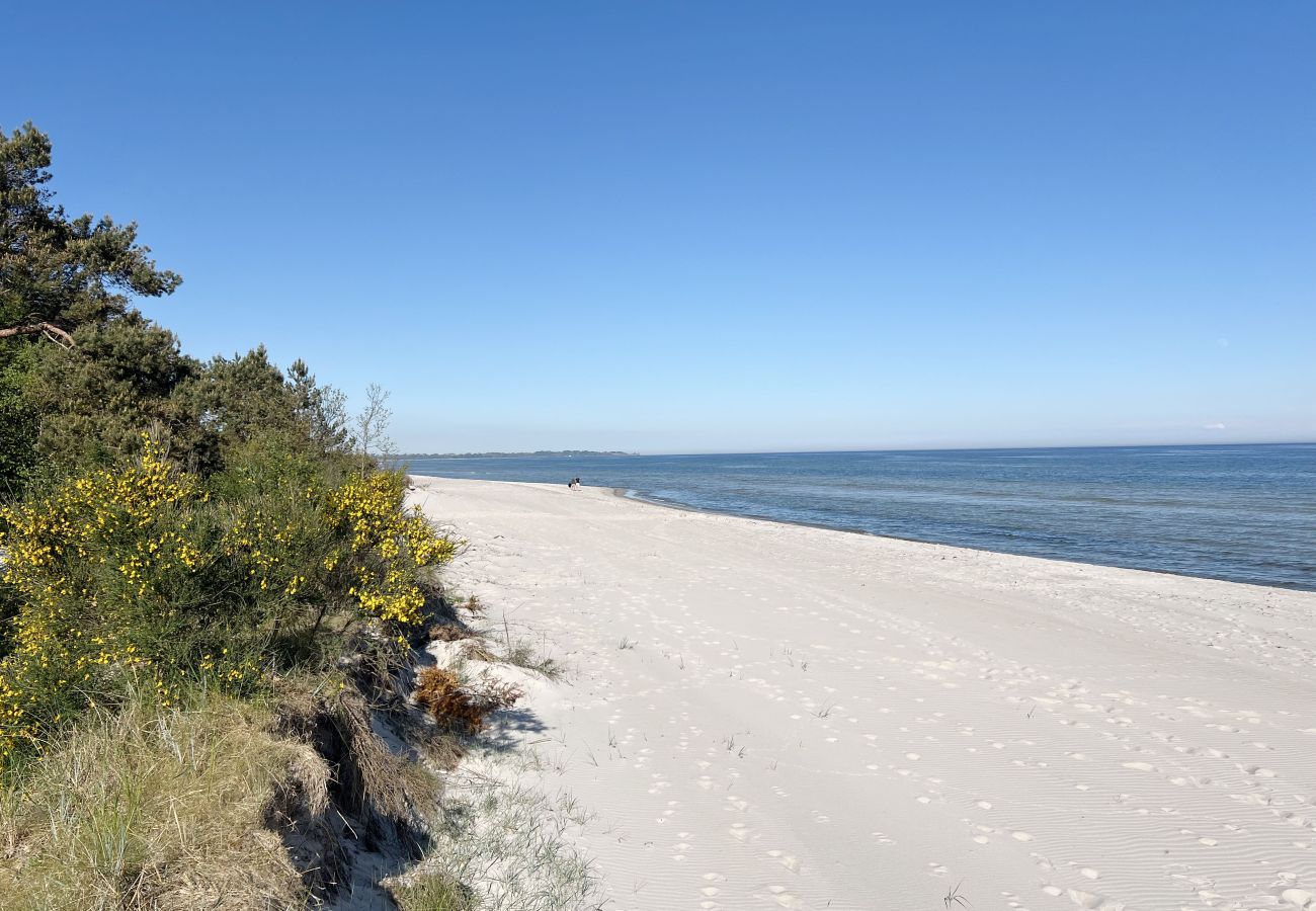 Ferienhaus in Beddingestrand - Ferienhaus am Strand mit Meerblick, Sauna und Privatsphäre in Beddingestrand | SE01061