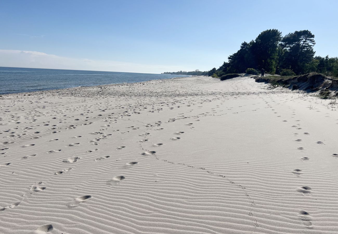 Ferienhaus in Beddingestrand - Ferienhaus am Strand mit Meerblick, Sauna und Privatsphäre in Beddingestrand | SE01061