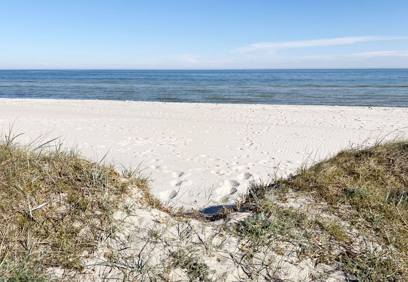 Ferienhaus in Beddingestrand - Ferienhaus am Strand mit Meerblick, Sauna und Privatsphäre in Beddingestrand | SE01061