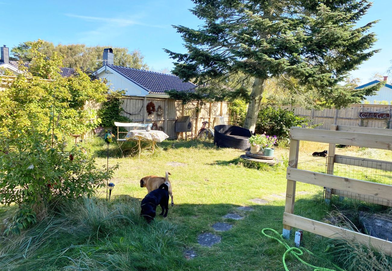 Ferienhaus in Mellbystrand - Ferienhaus im nördlichen Mellbystrand mit Blick auf Laholmsbukten SE02039