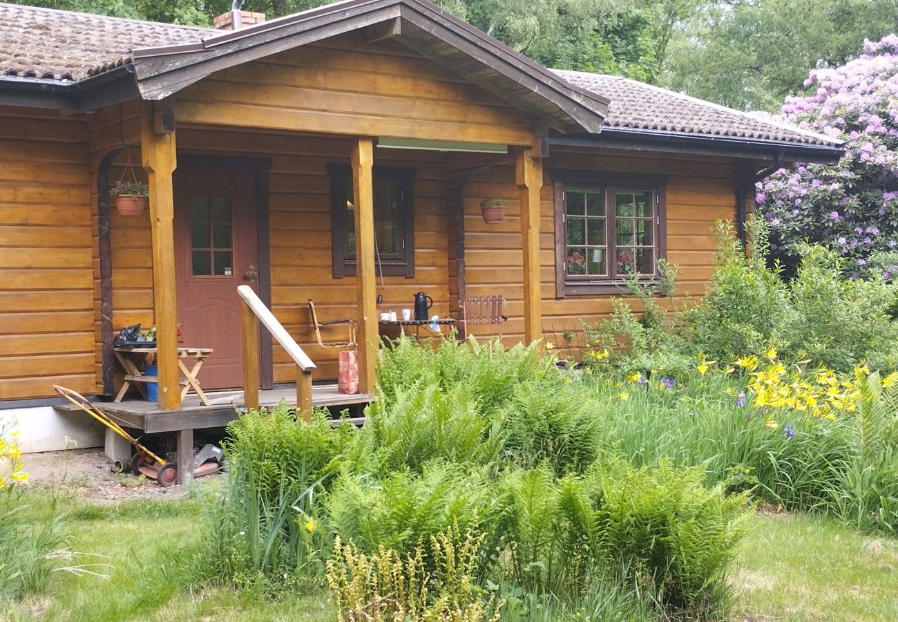 Blockhütte in Billesholm -  Charmantes Ferienhaus bei Söderåsen SE01077