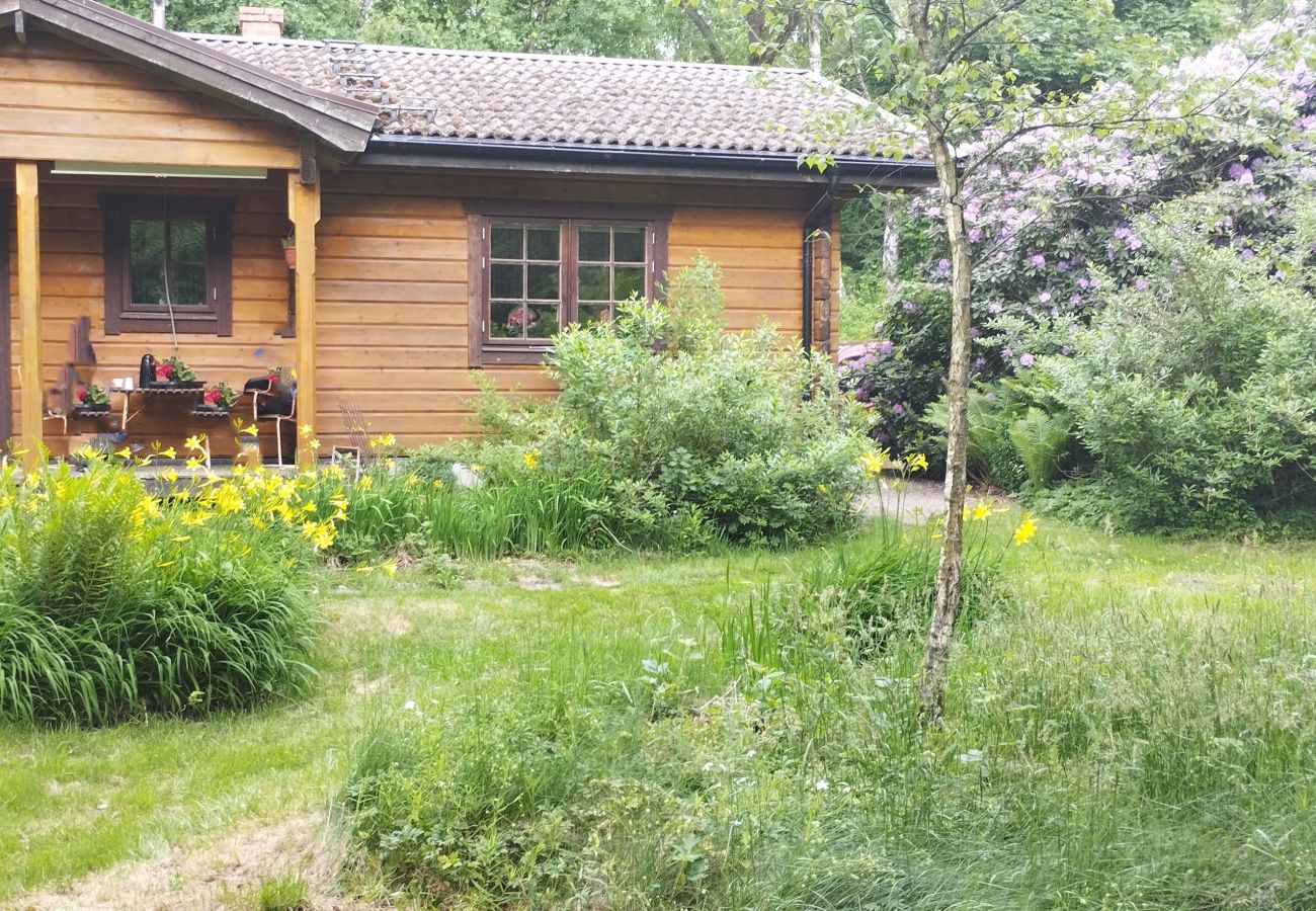 Blockhütte in Billesholm -  Charmantes Ferienhaus bei Söderåsen SE01077