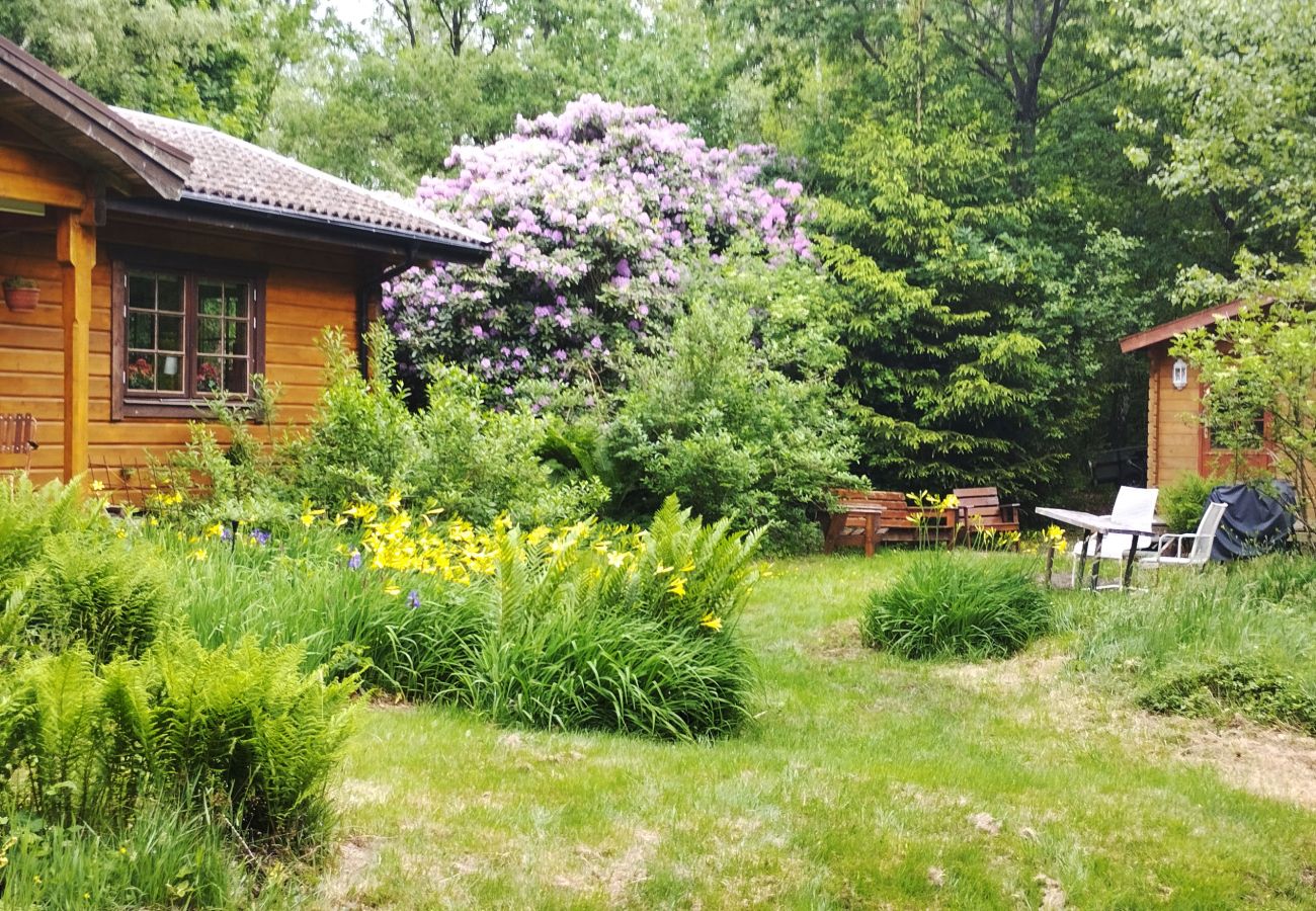 Blockhütte in Billesholm -  Charmantes Ferienhaus bei Söderåsen SE01077