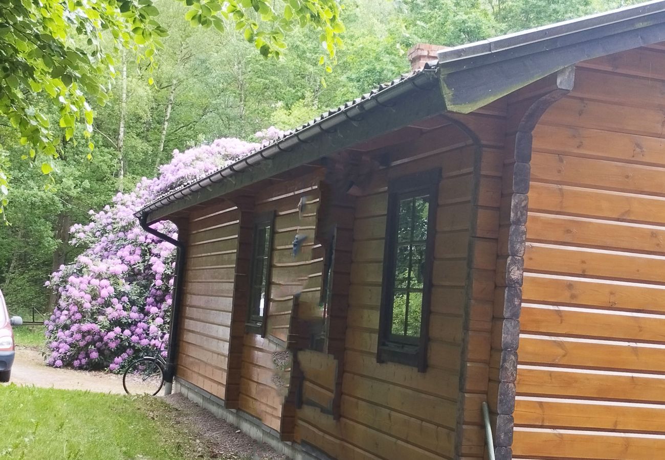 Blockhütte in Billesholm -  Charmantes Ferienhaus bei Söderåsen SE01077