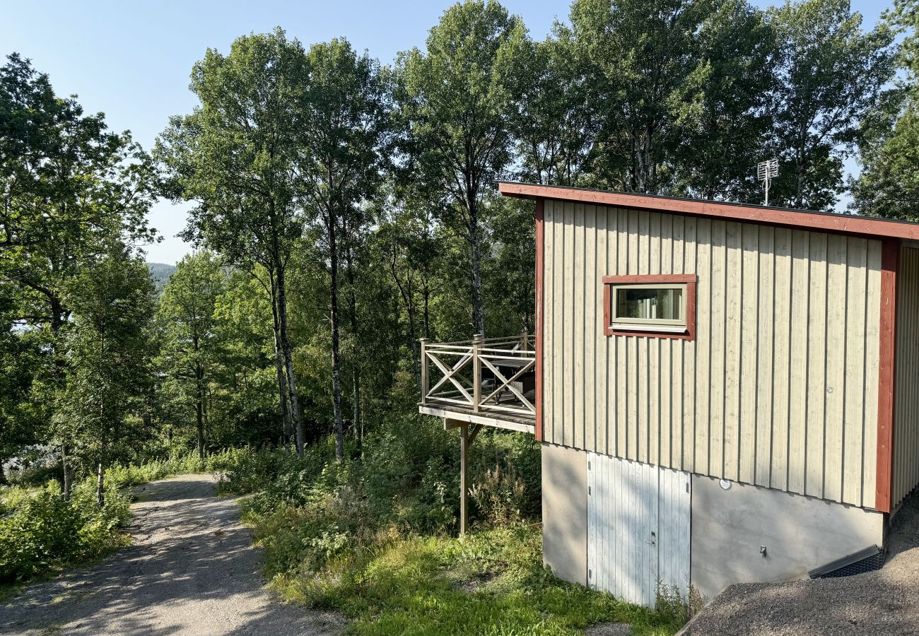 House in Dalskog - Holiday home in Dalskog with a panoramic lake view | SE17006