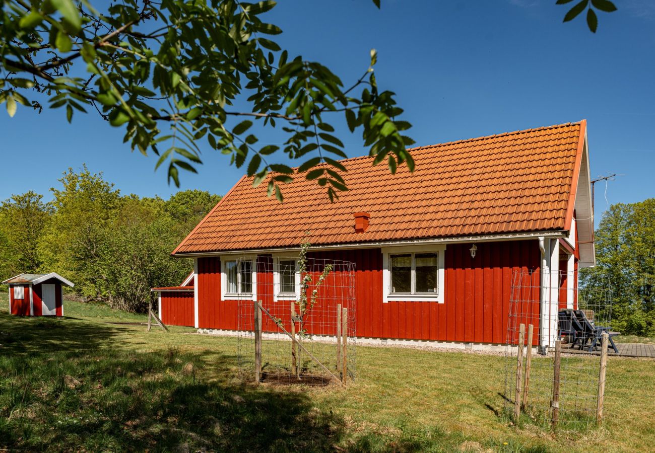 House in Laholm - Holiday accommodation with great nature experience near Laholm | SE02090