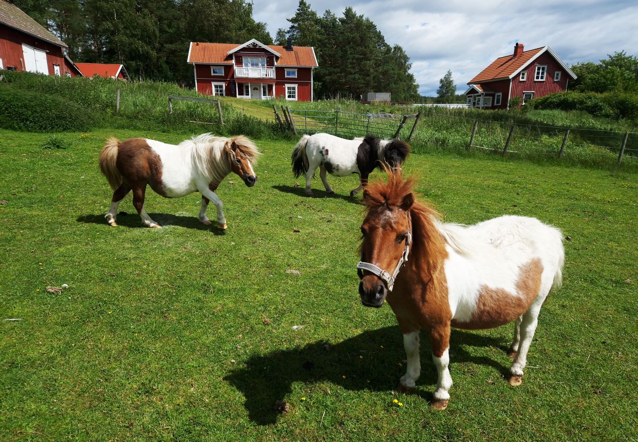 Stuga i Strömstad - Lantligt belägen stuga nära Strömstad | SE09054