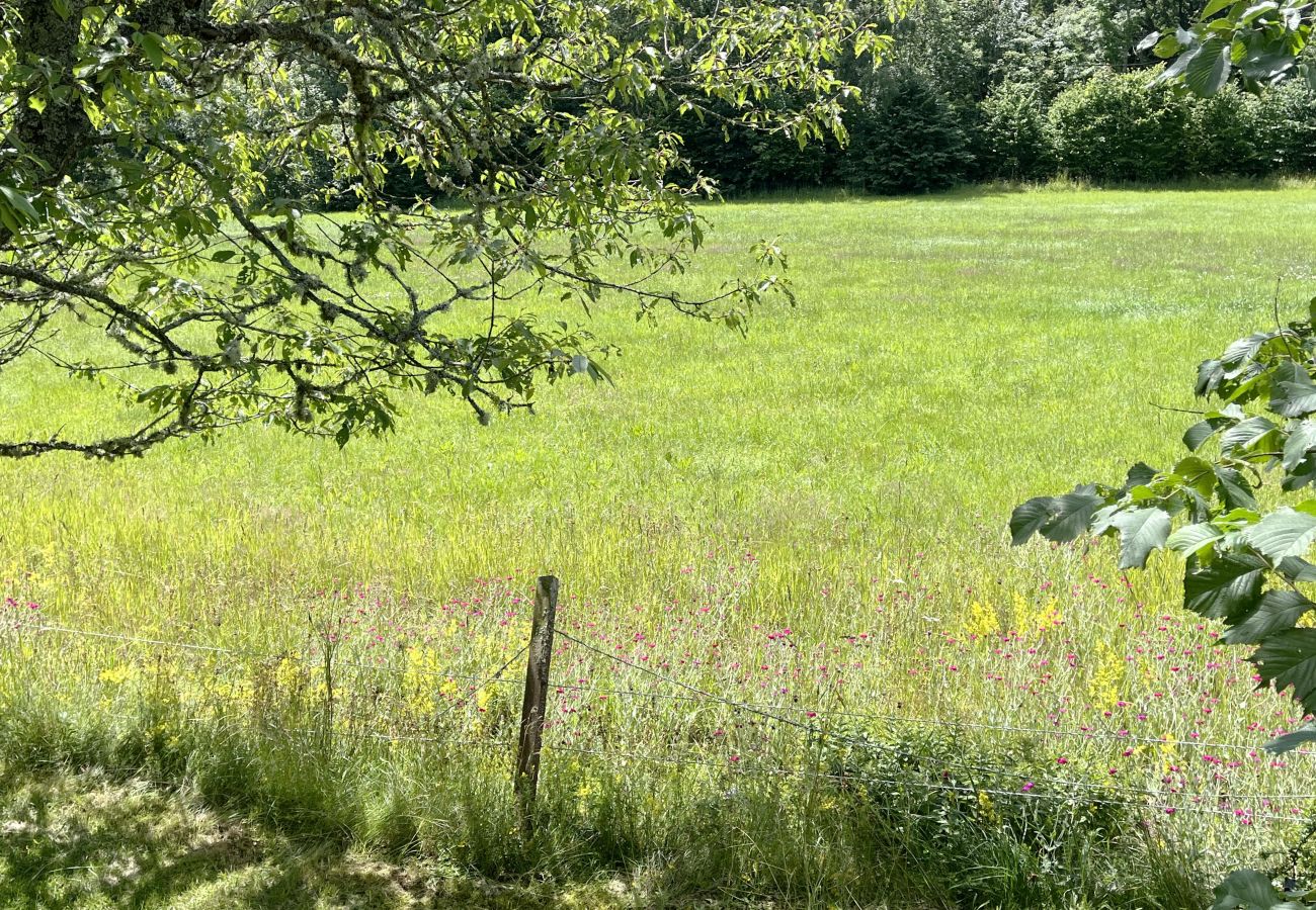 Stuga i Järnforsen - Röd stuga belägen med närhet till skog och mark utanför Virserum | SE05066