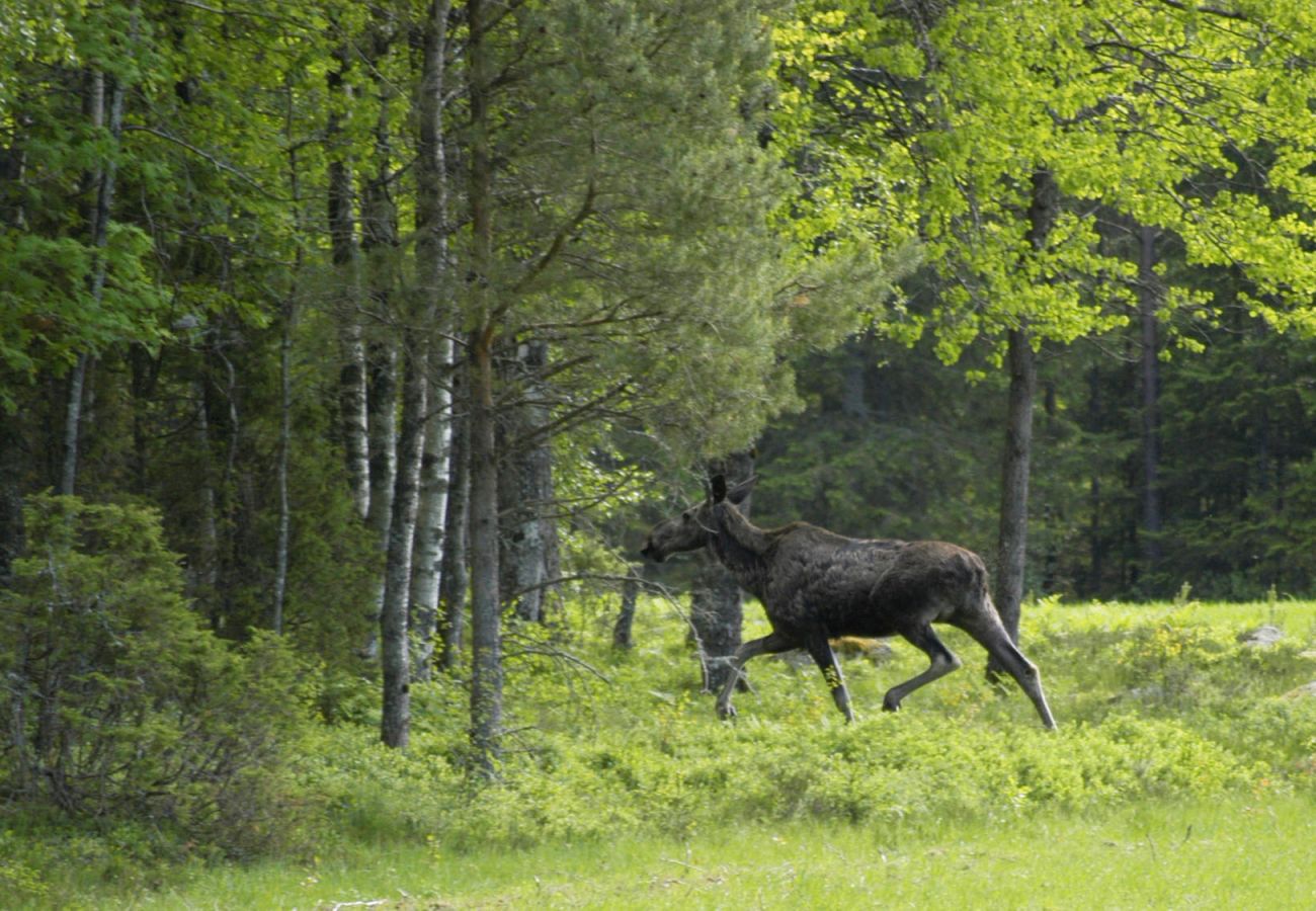 Stuga i Varekil - Sommarvilla på landet vid Varekil/Orust | SE09062