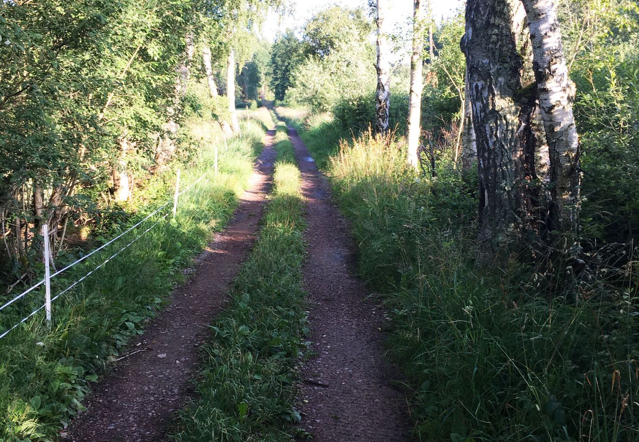 Stuga i Gränna - Fin stuga på en sjötomt till sjön Bunn utanför Gränna |SE05077